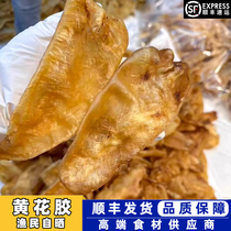 North Fishing Yellow Flower Gum 12-13 Heads) Large Yellow Fish Glue Dry Goods Natural Nourishing Preparation Pregnancy Postnatal Months Self-Tanning