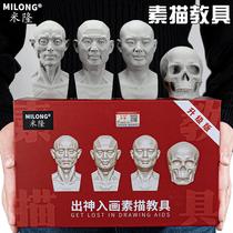 Out-of-the-art-in-the-head is the road avatar head bone Skull Plaster Fine Art Sketching Small Sketching and Sketching a Model