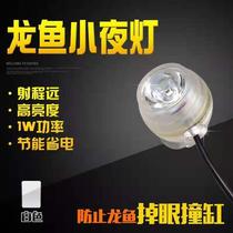 Dragon Fish Small Night Light Mini White Seven Color Discoloration Yellow Light Red Ram Cylinder Night Light Anti-Drop Eye Diving Light Aquarium Light