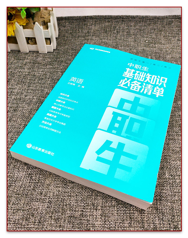 新版中职生基础知识必背清单英语高一高二高三适用中职生对口升学总复习辅导教材高职单招中专升大专复习资料知识讲解题型大全