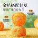 Authentic licorice kumquat dried bagged kumquat candied fruit snacks citrus nine-made special grade soaked in water and ready to eat