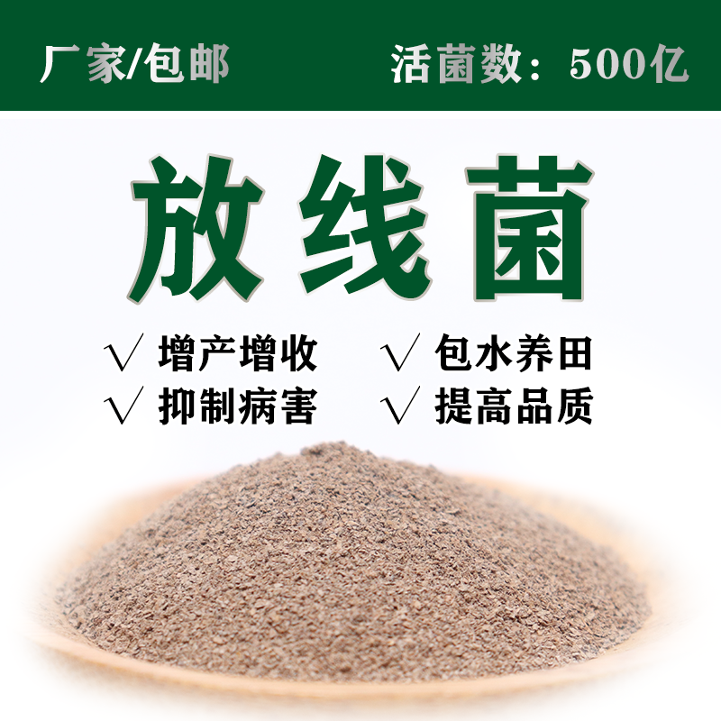 500亿放线菌高含量细黄链霉菌生物肥料发酵菌剂厂家散装100g包邮 - 图2