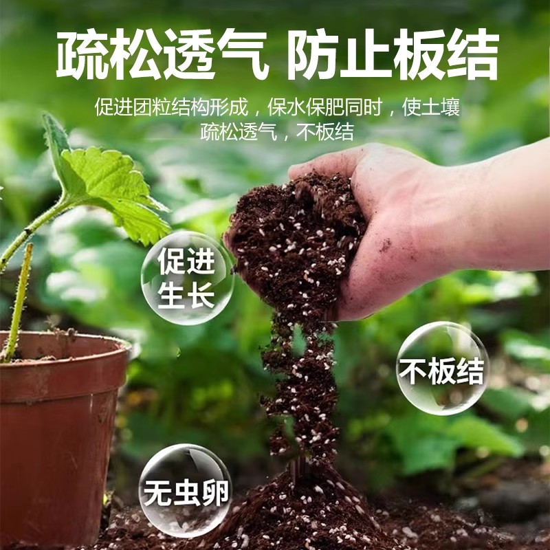 迷迭香专用土有机腐殖黑土营养土肥蔬菜种植土驱蚊植物花卉百里香-图0