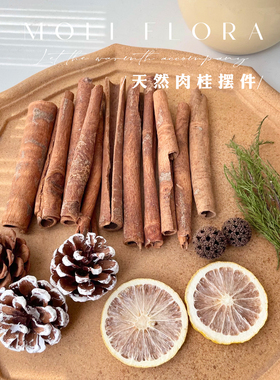 天然肉桂植物干花干果家居摆件