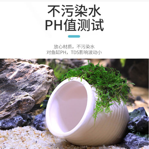 鱼缸懒人真植物鱼虾躲避罐虾屋小摆件小鱼繁殖躲避屋莫斯水草造景 - 图1