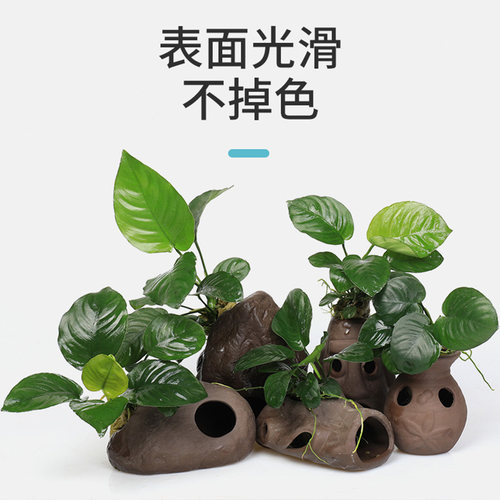 鱼缸懒人真植物鱼虾躲避罐虾屋小摆件小鱼繁殖躲避屋莫斯水草造景 - 图0