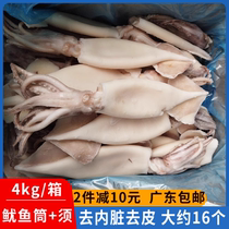 Fresh frozen squid free of handling peeled devisceral raw juice whole to take the lead to barbecue hot pot food ingredients for commercial batch Guangdong