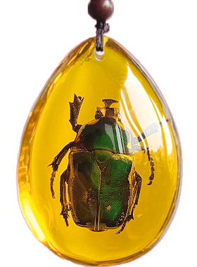 天然昆虫儿童琥珀吊坠挂件