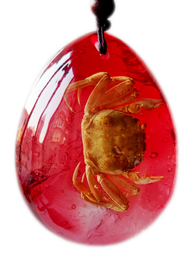 纯天然真螃蟹标本昆虫琥珀饰品