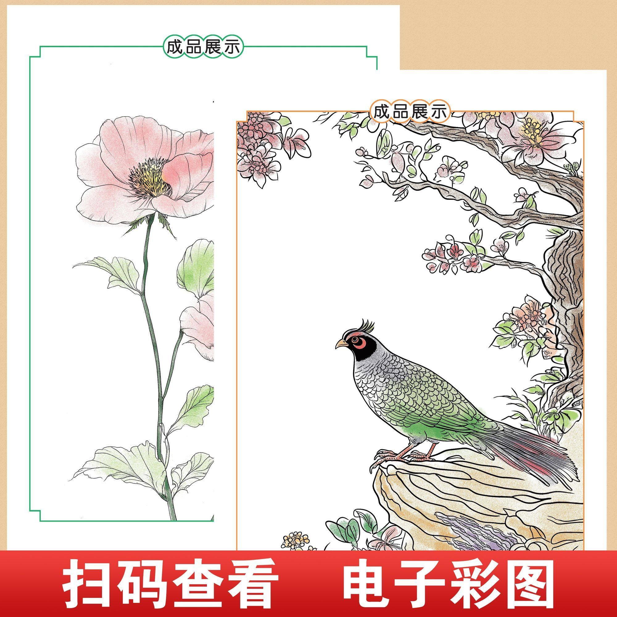 中国画白描入门描摹本儿童临摹画册涂色本控笔训练绘画国画工笔画,淘宝优惠券,粉丝福利购,淘宝优惠卷