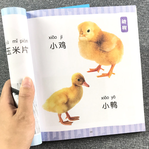 儿童认物大全婴幼儿启蒙认知早教书0-1-2到3-4岁宝宝益智书籍一岁半二三岁幼儿园小孩看图识物童书亲子阅读读物图画书彩图注音绘本 - 图3