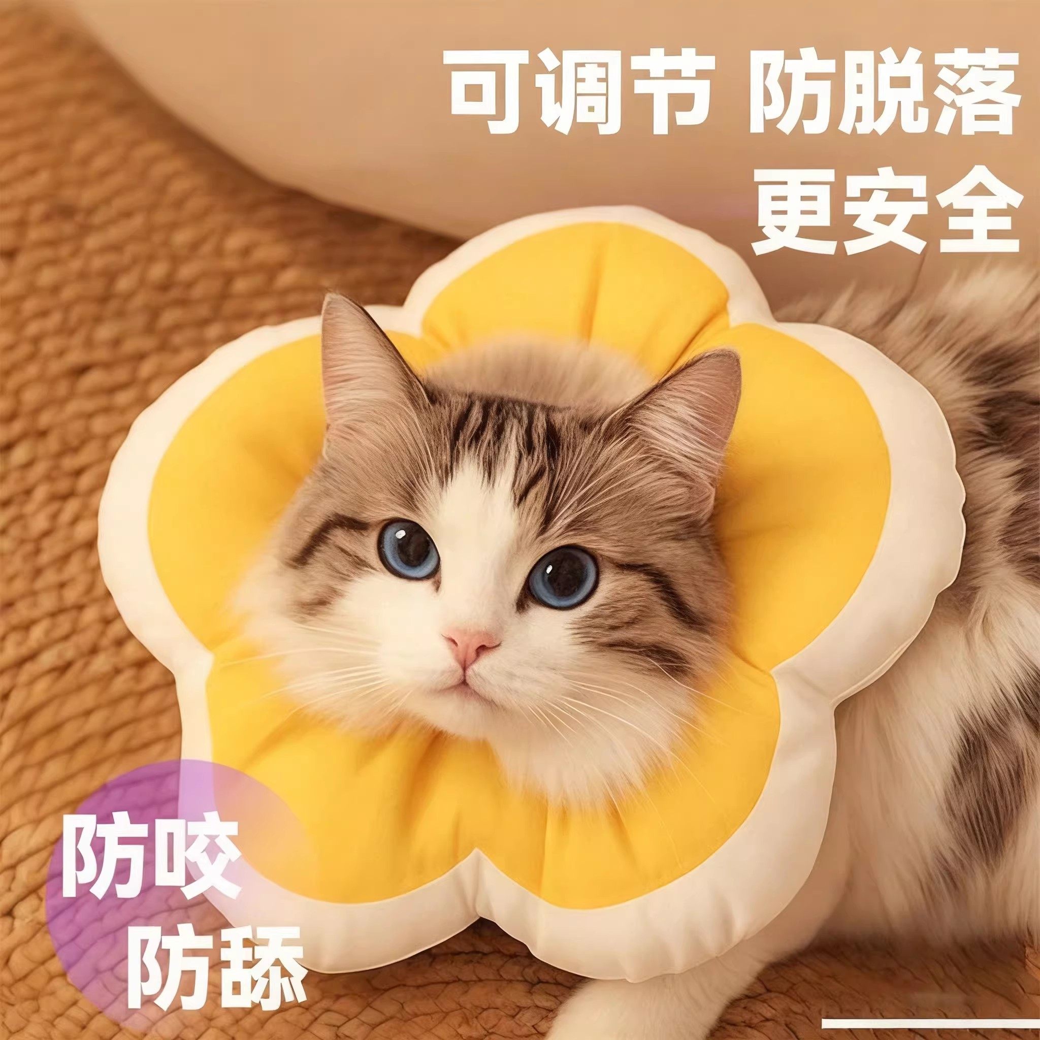 伊丽莎白圈绝育项圈太阳花猫脖圈猫咪狗狗防咬防舔头套小猫围脖子,淘宝优惠券,粉丝福利购,淘宝优惠卷