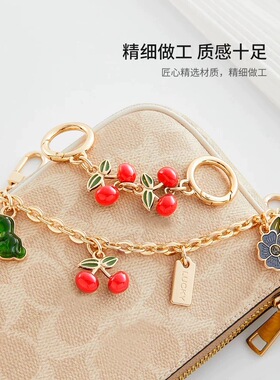 适用coach蔻驰麻将包延长链腋下女包肩带加长樱桃链条装饰配件链