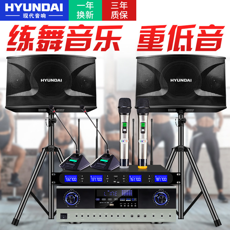 韩国现代专业中小型会议室套装话筒 现代行思品斯KTV/卡拉OK音箱