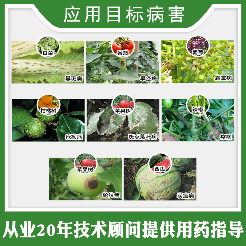 科迪华杜邦增威赢绿易保易灵30ml番茄黄瓜霜霉病晚疫病杀菌剂 - 图2