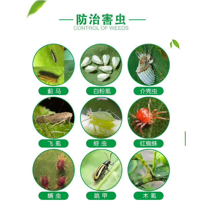 明德立达农药德朗阿维·螺虫阿维菌素螺虫乙酯柑橘蚧壳虫红蜘蛛杀-图2