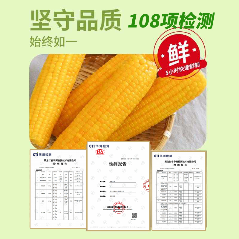 东北黄糯玉米甜玉米真空包装整箱新鲜粘糯玉米棒加热即食厂家直销