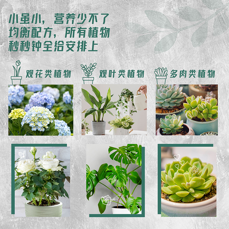 美乐棵缓释肥植物缓释营养棒通用型多肉养花肥绿植发财树花卉肥料-图1