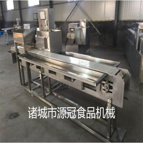 鸡米花裹粉机 连续式鸡柳粘粉机 全自动鱼块裹糠设备 厂家 - 图2