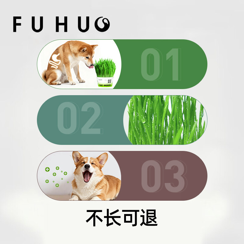 俘获F2狗草犬用狗狗盆栽助狗可以吃化的草毛狗狗草小型犬,淘宝优惠券,粉丝福利购,淘宝优惠卷