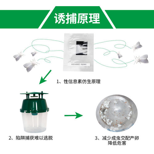 中捷四方诱尔美国白蛾性诱剂诱芯诱捕器林业害虫 - 图1