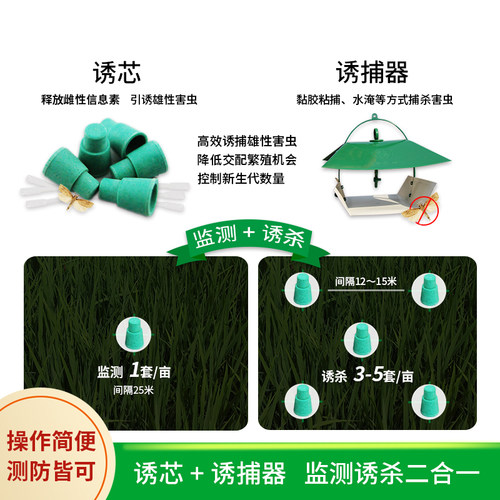 中捷四方诱尔二化螟三化螟性诱剂诱芯诱捕器水稻害虫 - 图1