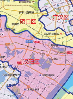 2025年武汉市地图客厅办公室挂图行政区划墙壁装饰实物定制