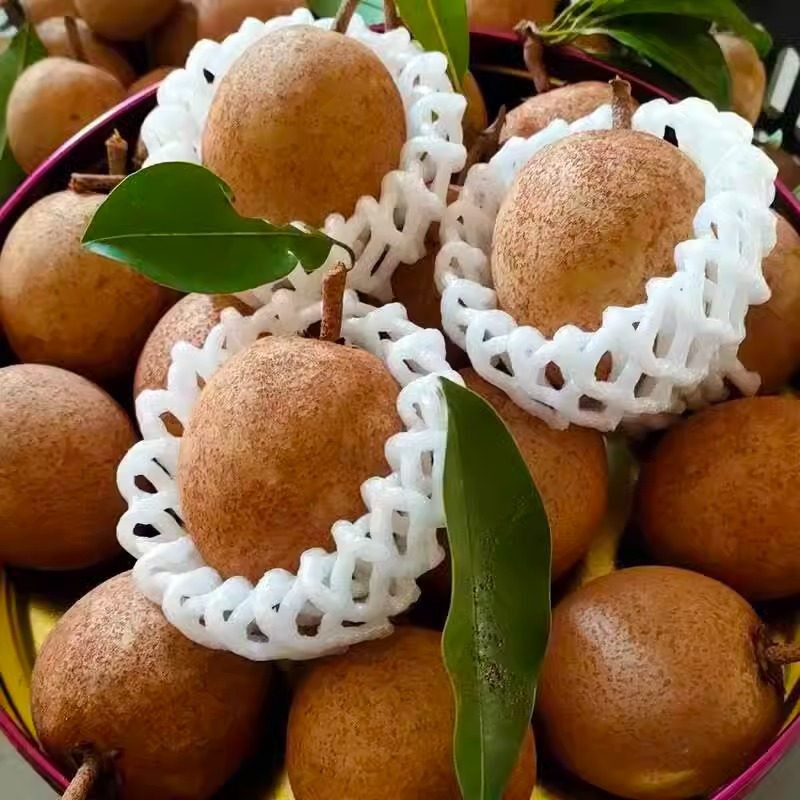 现摘人心果5斤新鲜应当季孕妇水果热带仙人果人参果特产现货速发,淘宝优惠券,粉丝福利购,淘宝优惠卷