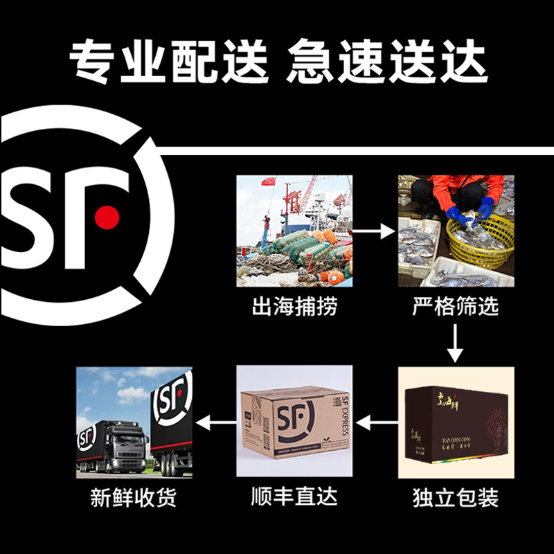 年货送礼舟山礼盒鲜活冰鲜大礼包 玖舢鲜其它