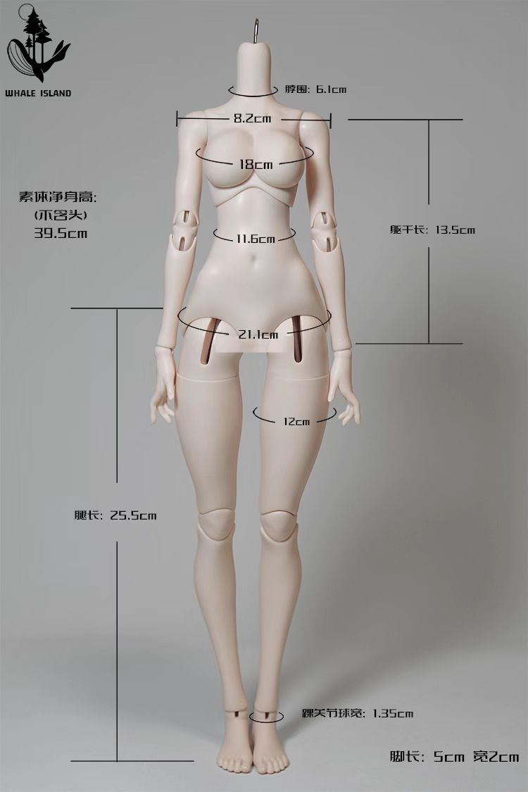 珊瑚礁鲸鱼岛自制4分鲸鱼体BJD娃娃素体sd娃娃宽肩标配肩 - 图3