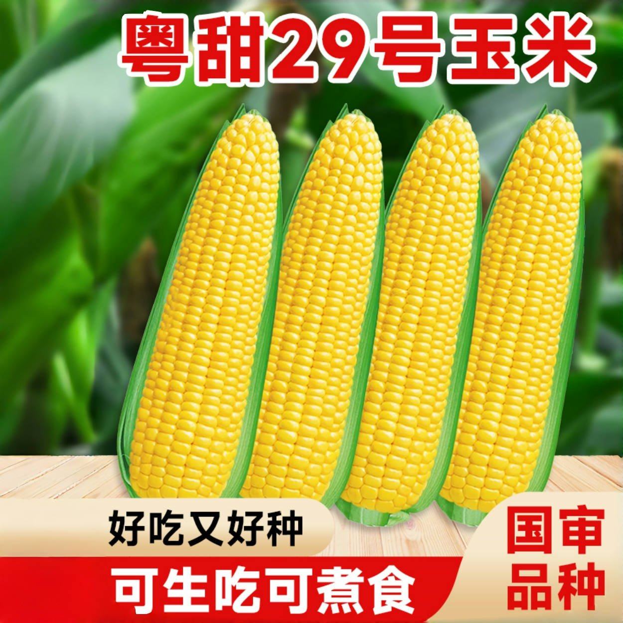 粤甜29号玉米种籽超甜高产水果玉米种子脆甜糯糯米春季杂交种孑,淘宝优惠券,粉丝福利购,淘宝优惠卷