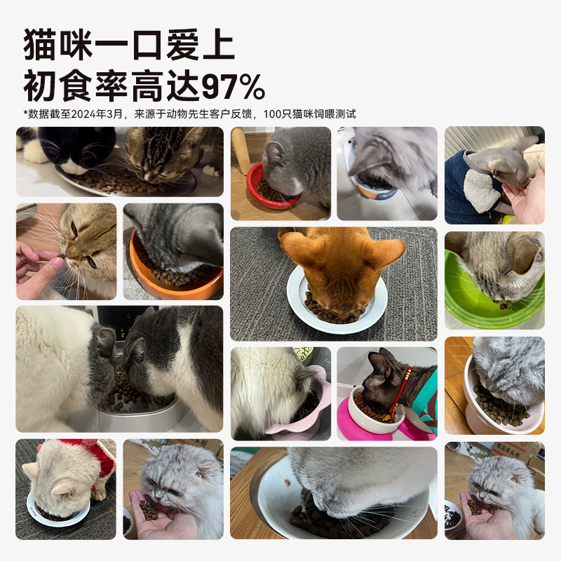 动物先生烘焙粮全价成猫幼猫全阶段鲜肉增肥发腮鸡肉低温烘焙猫粮 - 图1