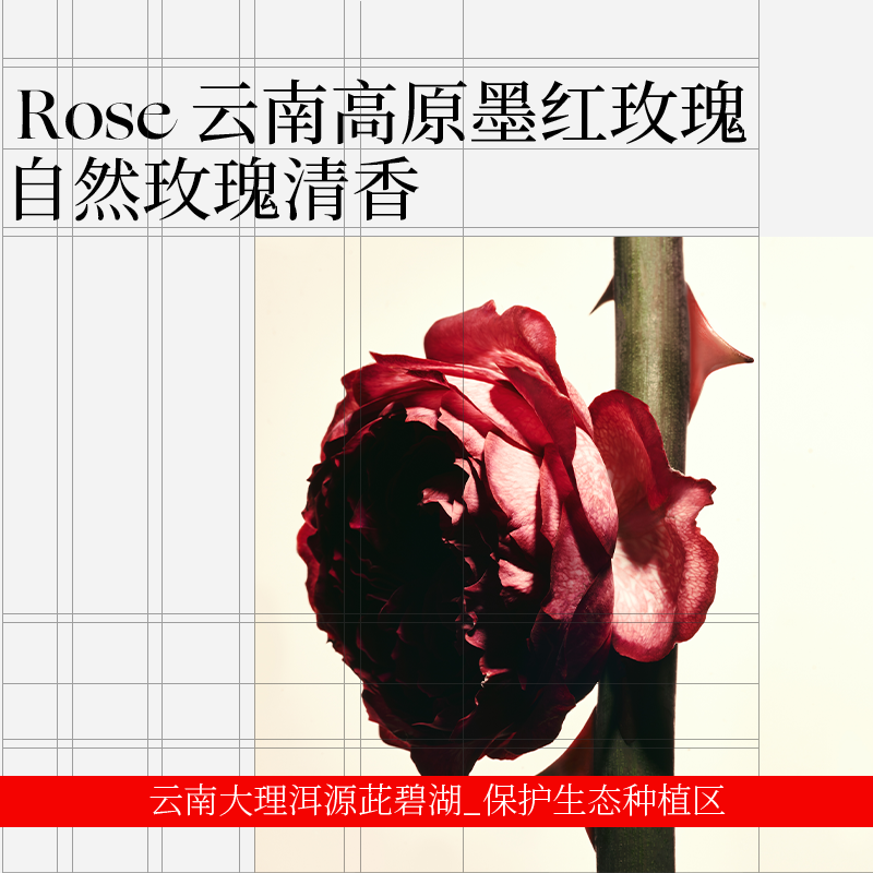 【官方正品】东边野兽氨基酸净润洁颜蜜清洁洗面奶保湿温和不刺激