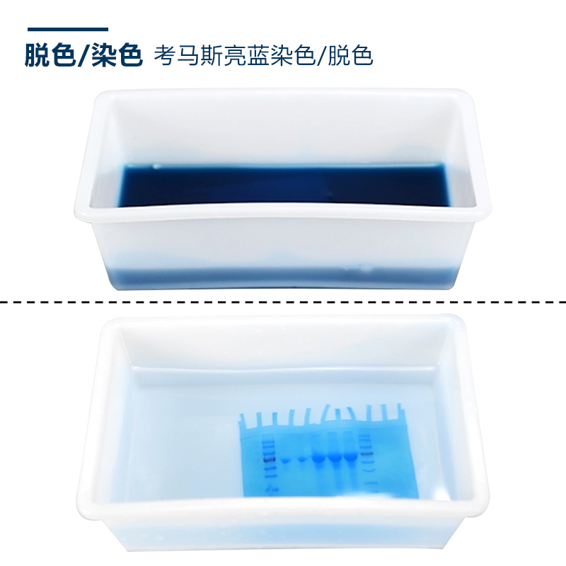 Western blot 通用托盘方盒 电泳存胶转印脱色染色 显影冲洗胶片 - 图2