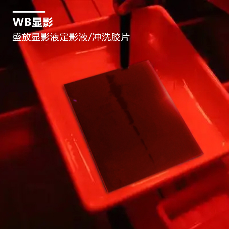 Western blot 通用托盘方盒 电泳存胶转印脱色染色 显影冲洗胶片 - 图3