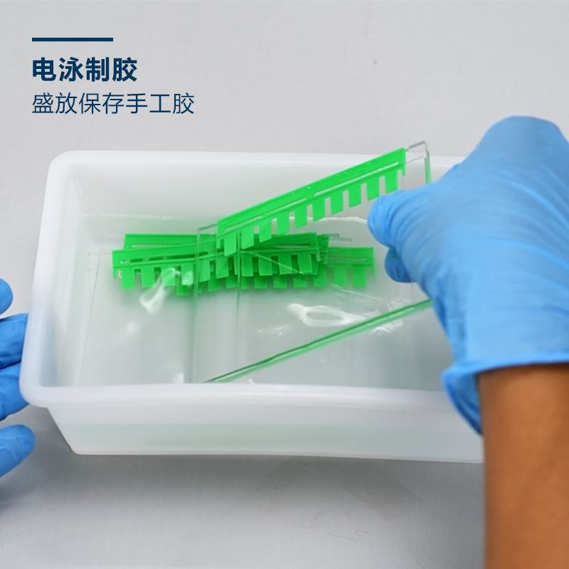 Western blot 通用托盘方盒 电泳存胶转印脱色染色 显影冲洗胶片 - 图1