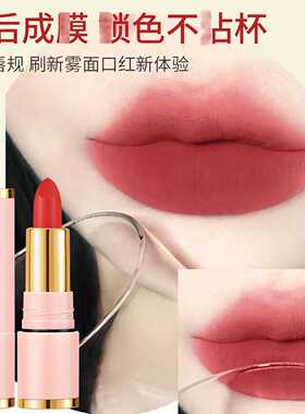 萱罗兰倾色绒雾不沾杯口红雾色丝绒哑光平价彩妆L077