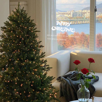 Christmas Tree Home Large Decoration Simulation Pendulum Pieces Christmas Scene Arrangement Package Diy With Light 2023 New