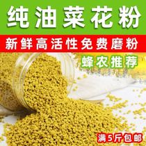 Qinghai oil vegetable flower powder to eat 2022 new beekeeping to feed bee bee with pollen natural pollen grain