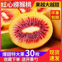 Sichuan Extra Large Fruit Red Heart Chic Exotic Fruit Authentic the Monkey Peach Fresh Should Season season Tic Exotic Fruit Whole Box