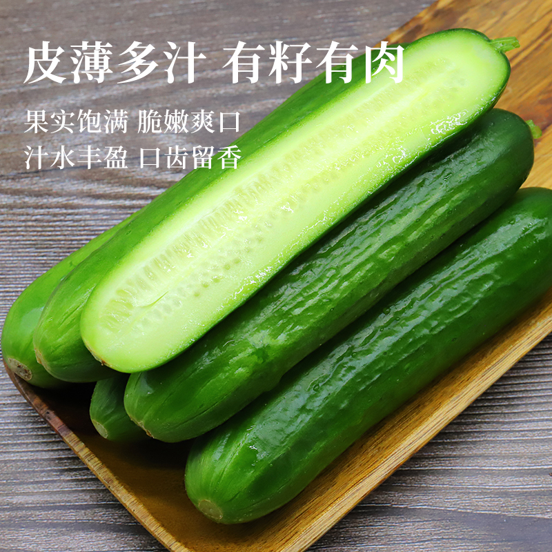 【綠行者】水果黃瓜新鮮生吃青瓜孕婦水果即食現摘荷蘭小黃瓜包郵_綠行者青島專賣店_水產肉類/新鮮蔬果/熟食