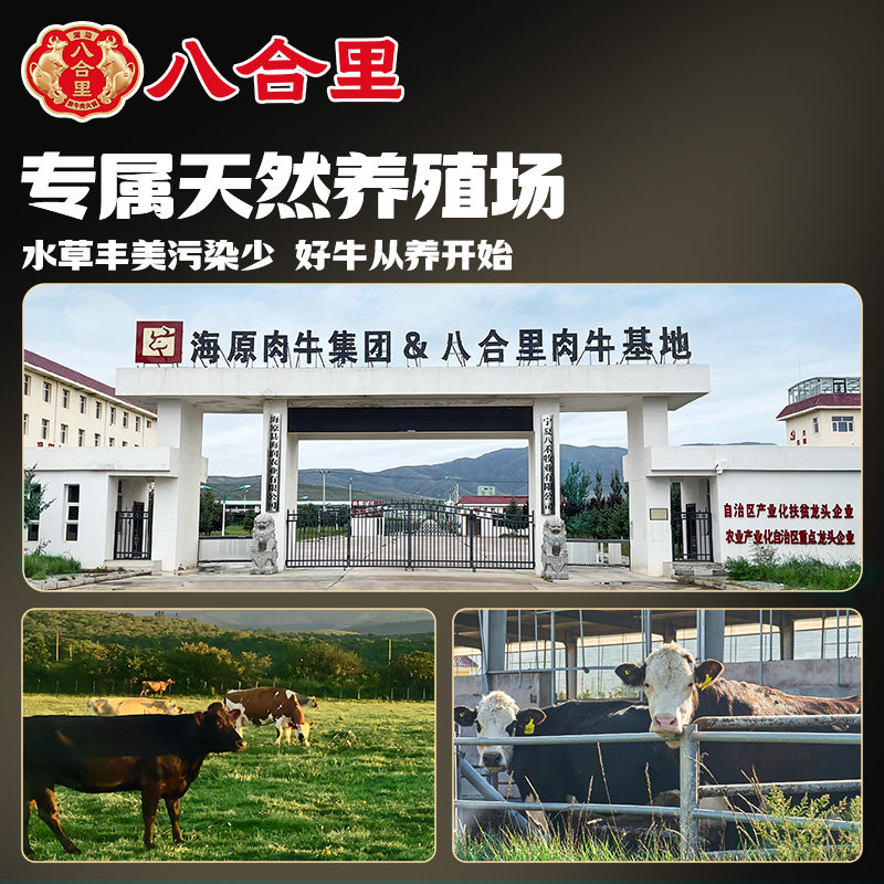 八合里牛肉肠纯肉宝宝儿童早餐火山石烤肠肉肠香肠空气炸锅食材