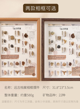 22种远古化石木质相框桌面摆件