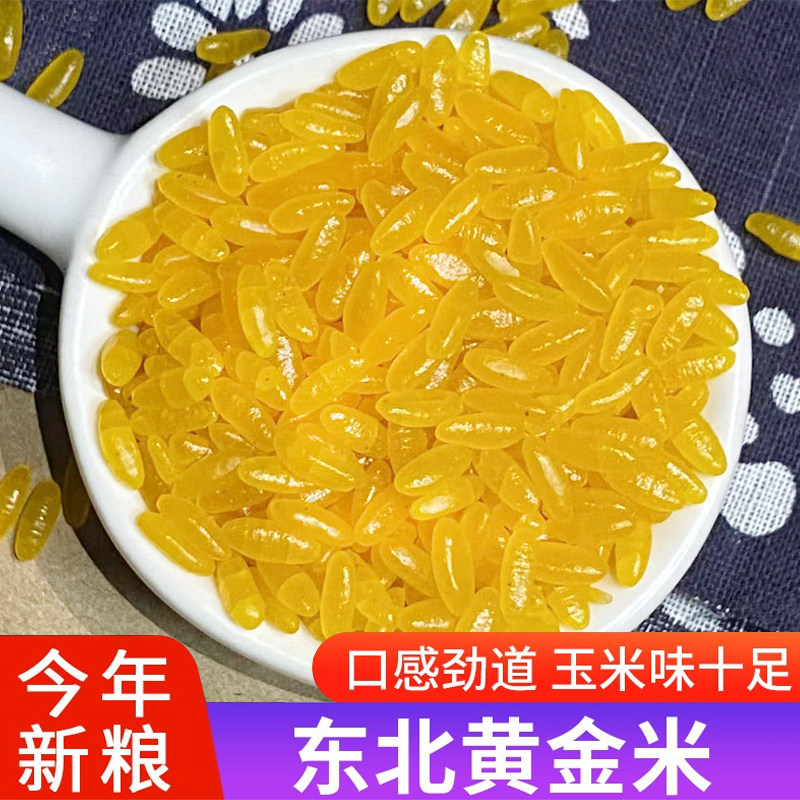 东北黑龙江黄金米新米玉米粗粮细做大米1斤装营养五谷杂粮