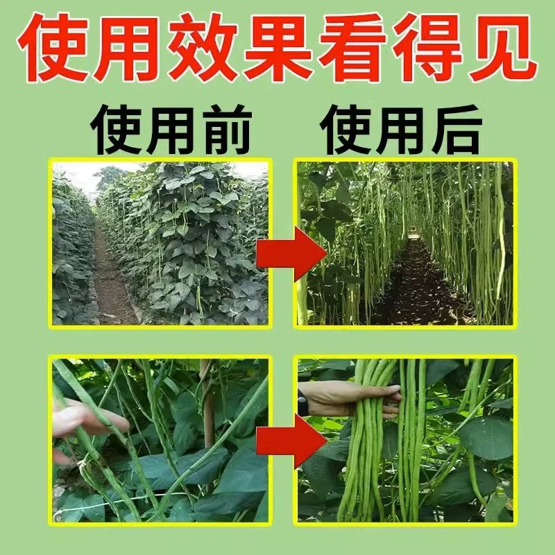 豆角病毒病黄叶病锈病专用农四季豆拉长拉直素叶面嫩直长水溶肥药 - 图1