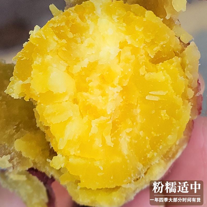 糯口感黄心沙地小香薯 蜜薯临安天目山新鲜红薯板栗山芋5斤 - 图2