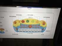 (Spot) Rack Subdrum Rock Piano Drum Mix 1402