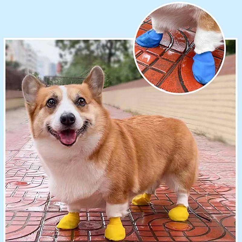 小狗气球鞋乳胶防水鞋套宠物用品狗狗防滑雨鞋外出户外一次性脚套,淘宝优惠券,粉丝福利购,淘宝优惠卷