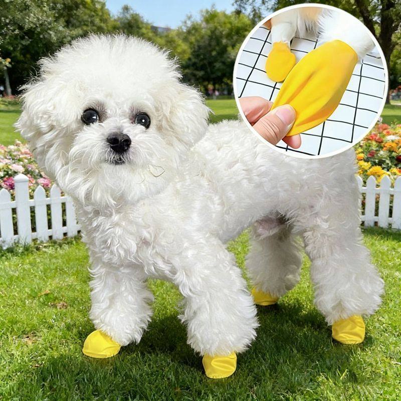 小狗气球鞋乳胶防水鞋套宠物用品狗狗防滑雨鞋外出户外一次性脚套,淘宝优惠券,粉丝福利购,淘宝优惠卷