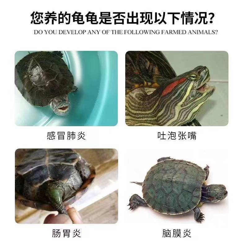 乌龟肺炎雾化药结膜炎上呼吸道感染呼吸急促干咳食欲不振精神萎靡-图2